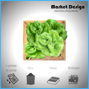 Food square 1