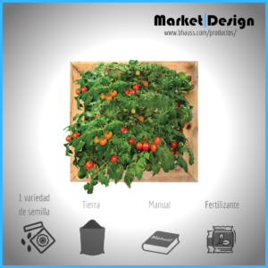Food square 2